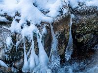 Felsiges Bachufer mit überhängenden Eiskeulen an Grashalmen
